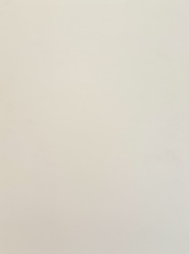Bone / Off White decor swatch